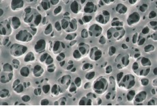Cellulose Acetate Type Membrane Filter