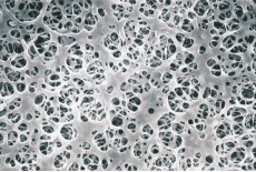 Coated Cellulose Acetate Membrane Filter (Coated Type)
