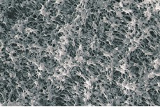 Hydrophilic PTFE Membrane Filter (PTFE Type)