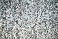 Hydrophobic PTFE Type Membrane Filter (PTFE Type)